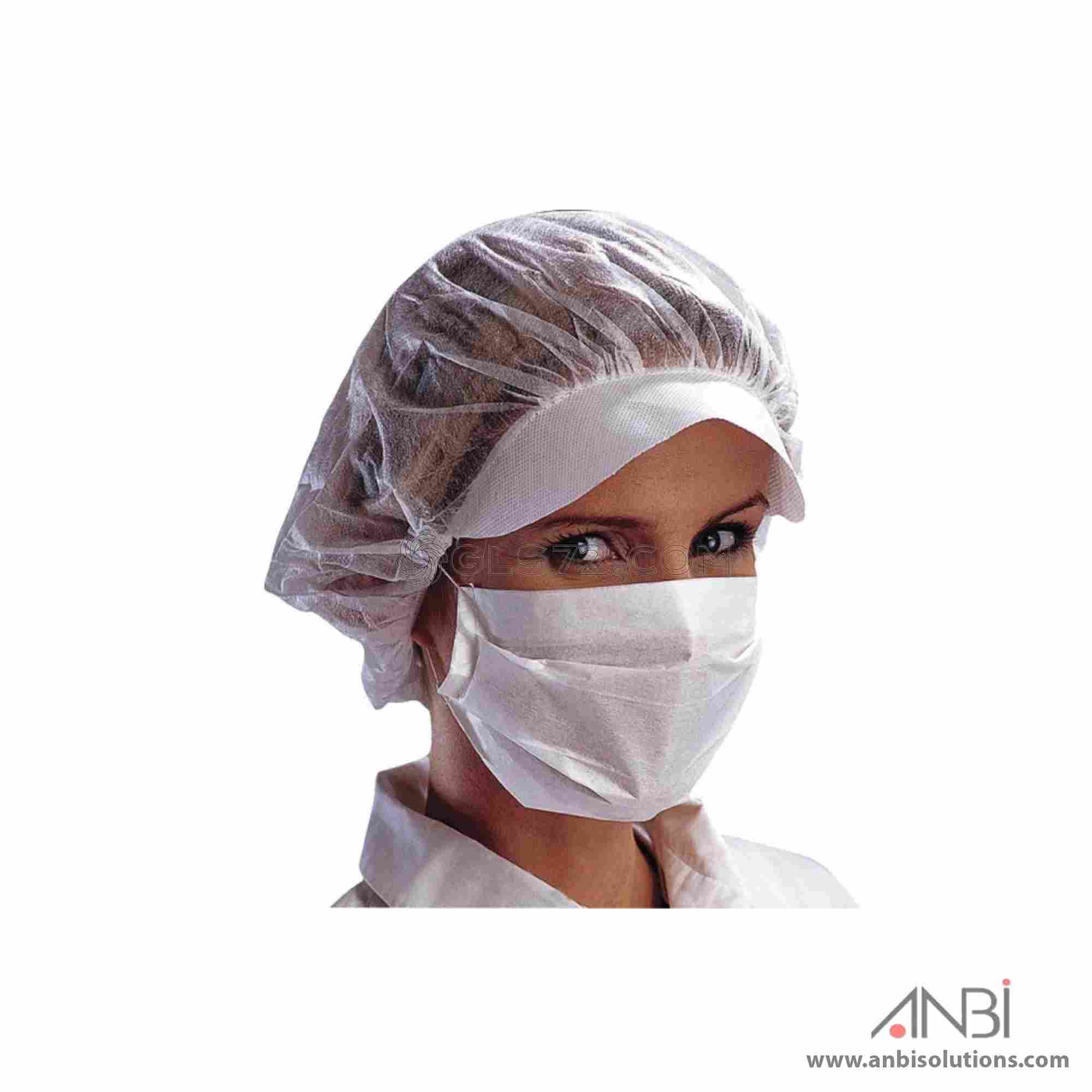 DELTA PLUS 2-pleat Paper Mask MASQU2