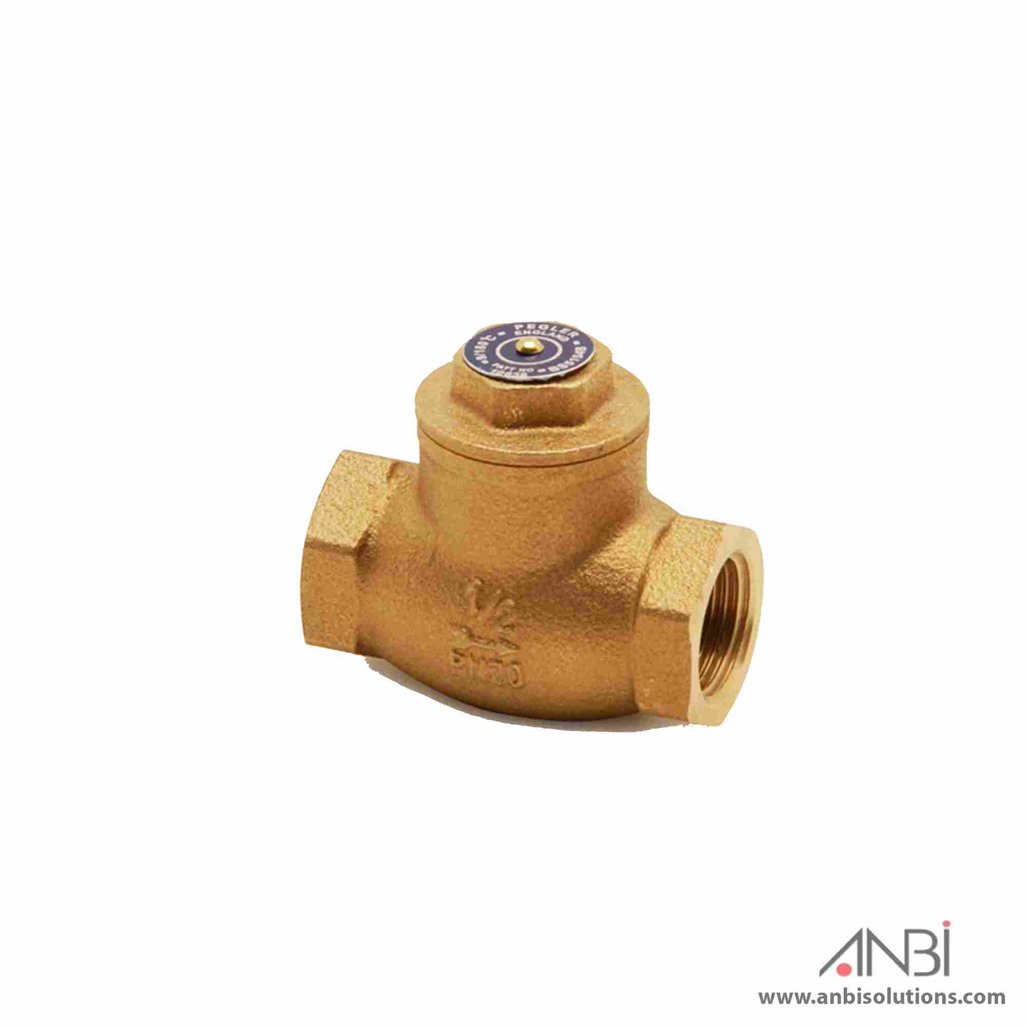 PEGLER Check Valve Bronze Swing 10638PT