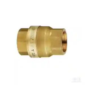 Herz Brass Spring Check Valve PN25 12622